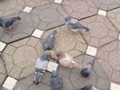 P9040067