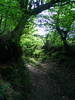 DSCF1009