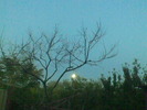 Imag061