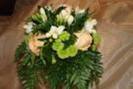 imagesCAA6JWWR