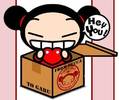 pucca