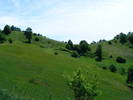 DSCF0531
