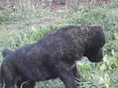 poze 04.05.2009 163