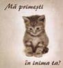 thumb_felicitari_ma_primesti_in_inima_ta[1]