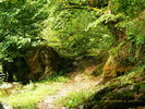 DSCF5044