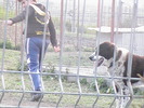 poze 01.05.2009 167