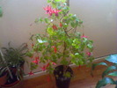 Picture 023