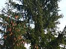 P1030290