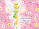 Tinkerbell-Wallpaper-tinkerbell-5445954-1024-768