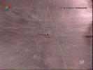 Image1117-0915(nationaltv)[5]