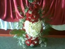 IMG0254A