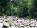 DSCF5017