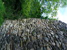 DSCF0593