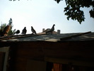 DSCN0677