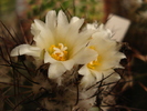 DSC09597