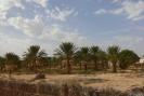 Tunisia_353