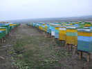 DSCF1618