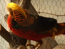DSCF0293