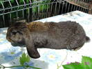Picture 006