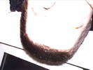 PICT0081