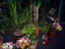 DSC00073