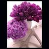 imagesCASPH81L