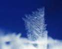 50_1280[1]