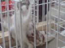 DSC00859