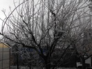 DSCF2213