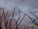 100_7915