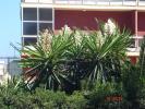 46 Torremolinos-Benalmadena