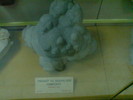 DSC00484