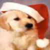 myspace-icons-holidays11