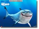 poze-poze-cu-finding-nemo-01-26