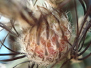 DSC09469