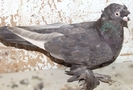 DSCF1855