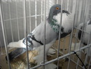 DSCN0162