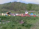 26042009(006)