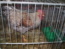 P8161848