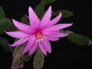 DSC01883