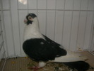 SANY0099