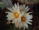 DSC08756