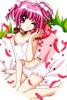 ichigo_and_mew_mew_power
