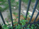 Picture 003
