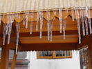 DSCF2207