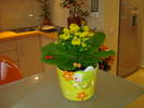 Picture 4328