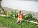 Picture 046