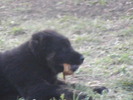 poze 04.05.2009 119