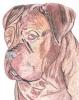 Dogue De Bordeaux2