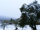 DSCF7328
